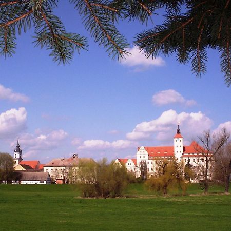 Parkhotel Pretzsch バート・シュミーデベルク エクステリア 写真