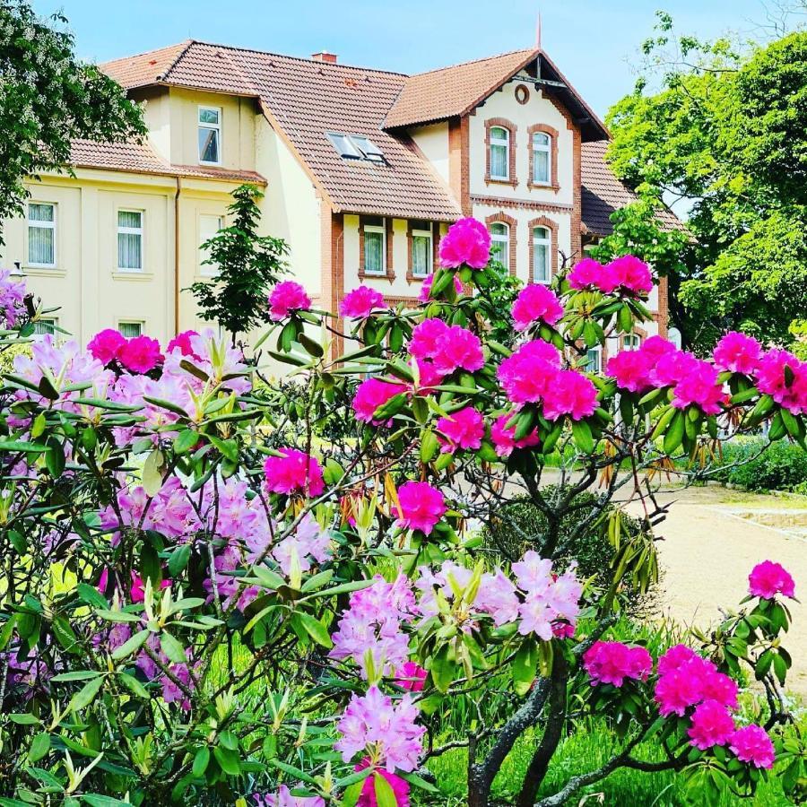 Parkhotel Pretzsch バート・シュミーデベルク エクステリア 写真