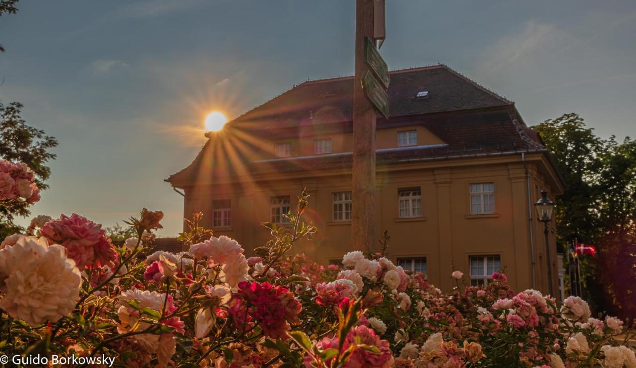 Parkhotel Pretzsch バート・シュミーデベルク エクステリア 写真
